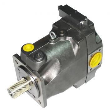 PAKER YB1-10 Piston Pump