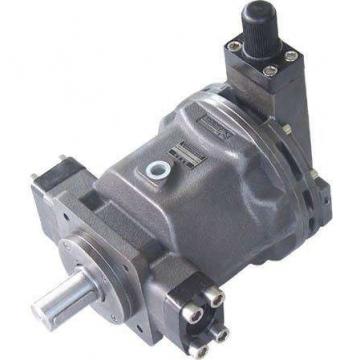 PAKER YB1-100 Piston Pump