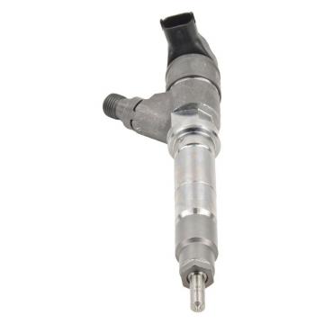 BOSCH 0445110024 injector